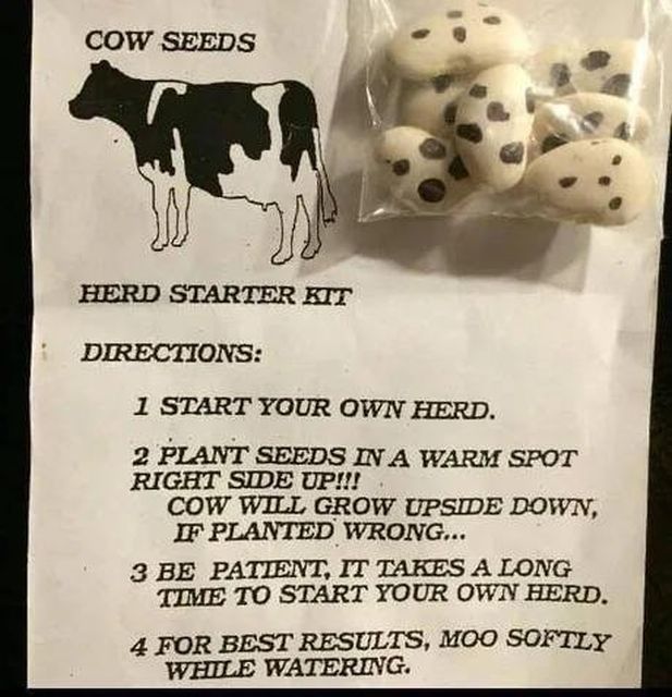 cow seeds.jpg