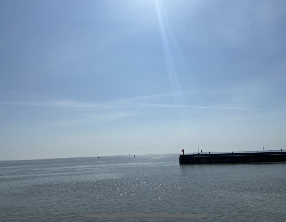 D2410A4A-E49D-4905-8BC7-A290CEF9C583.jpeg