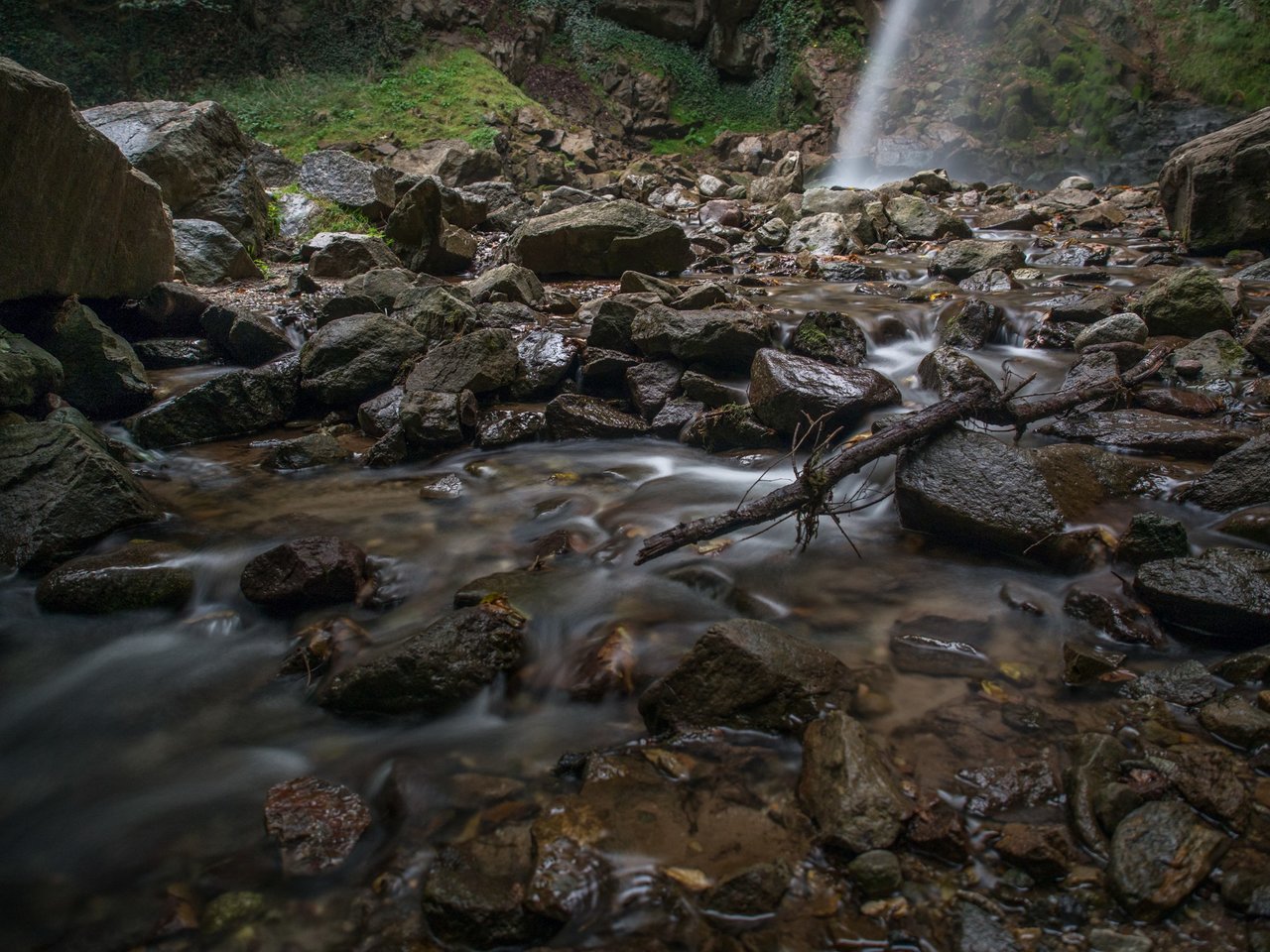 D283204B-9985-46E8-B08A-AA53462B2879.jpeg
