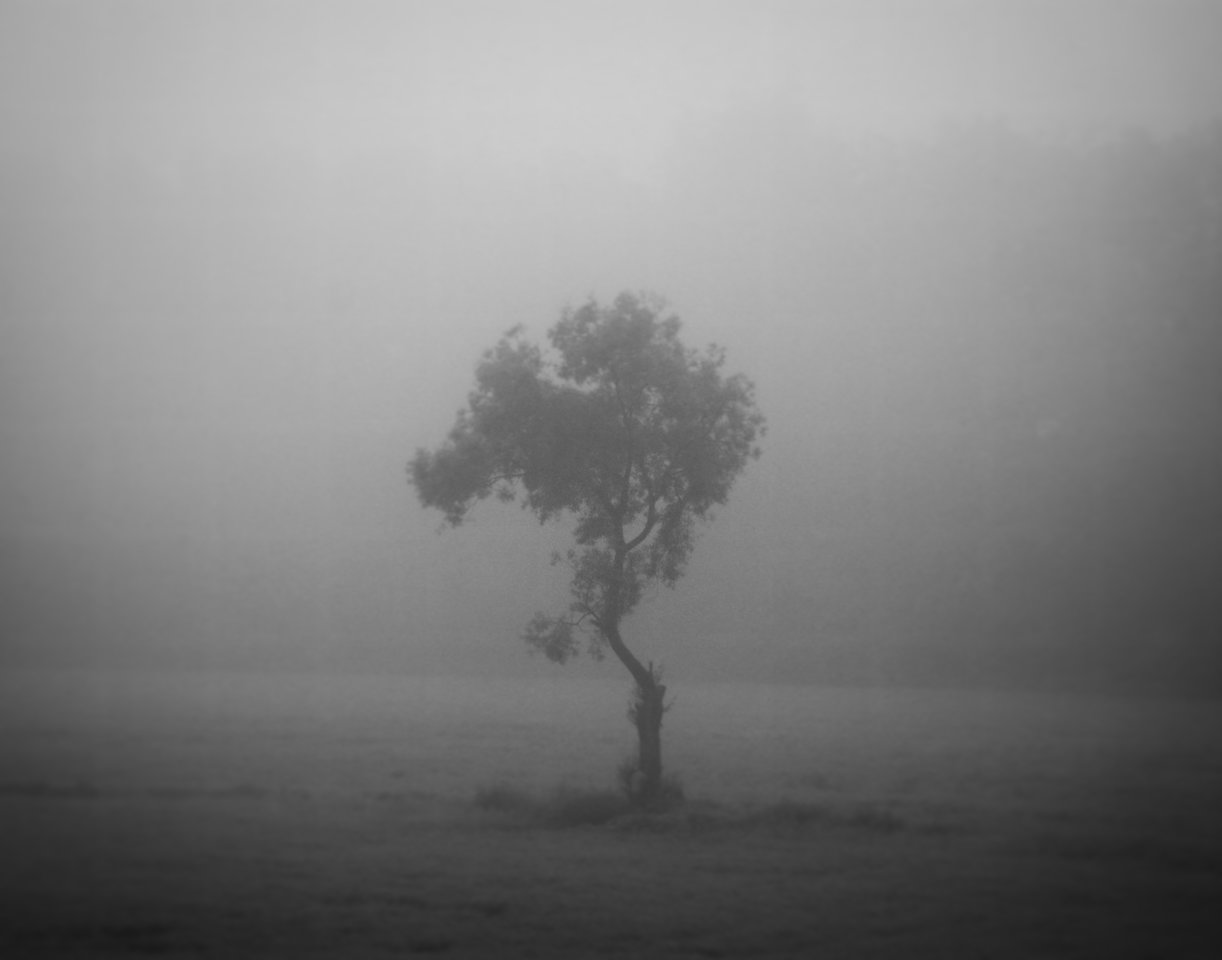 D325086F-4733-490E-A168-2B45028CA419.jpeg