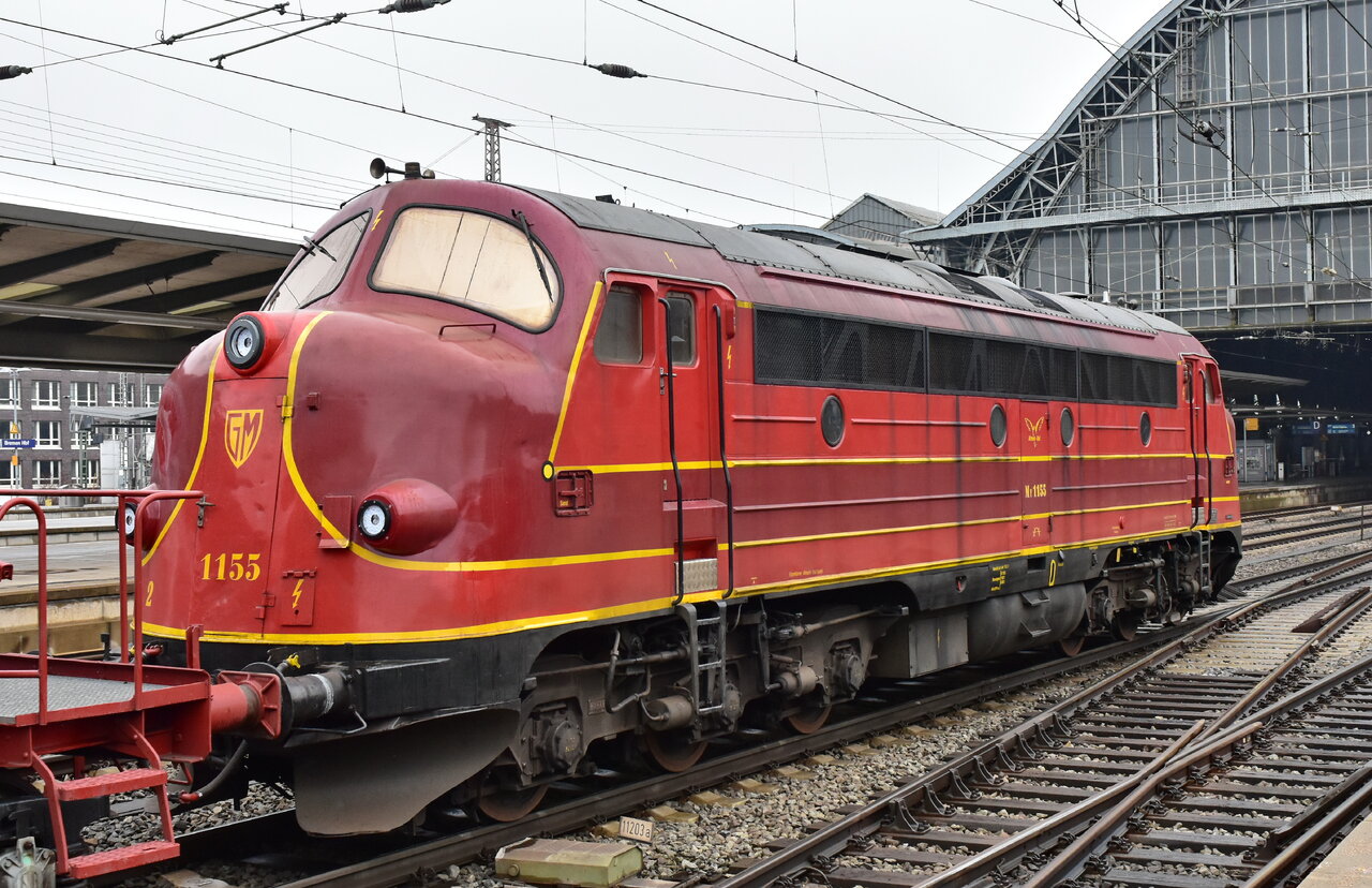 D72_0533a.JPG