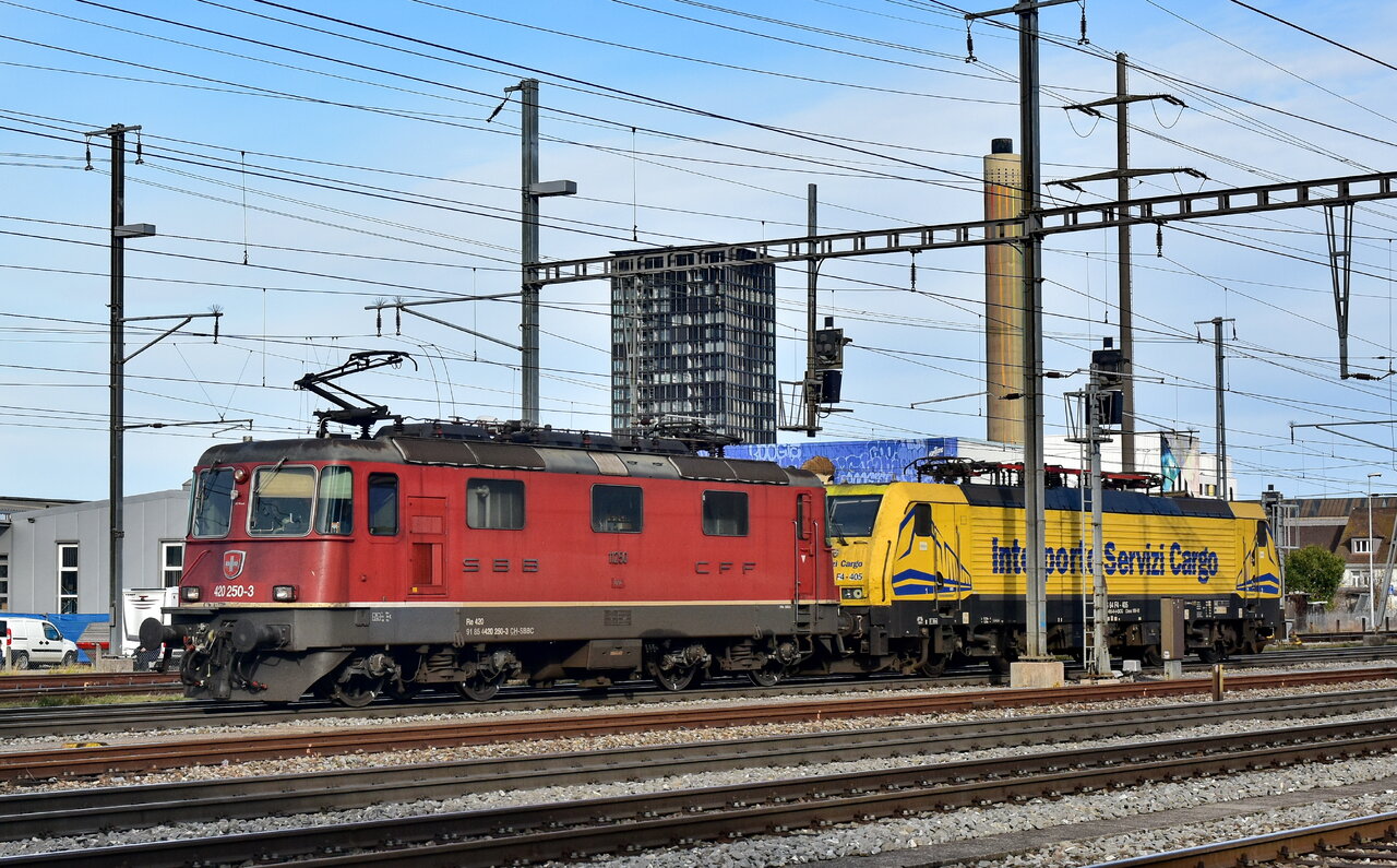D72_0792a.JPG