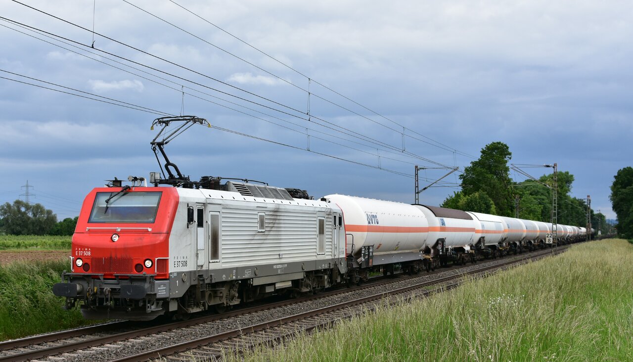 D72_3251a2.JPG