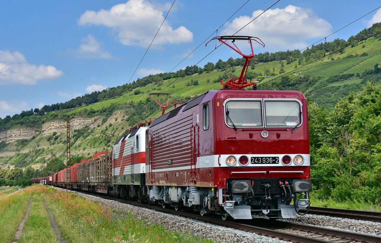 D72_4616b.JPG