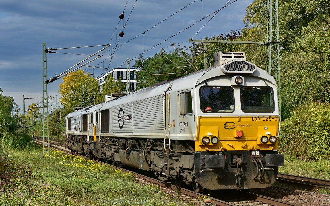 D72_7117a2.JPG