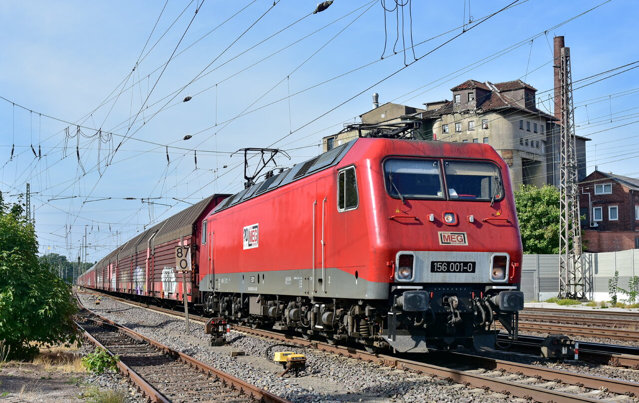 D72_7785a.JPG