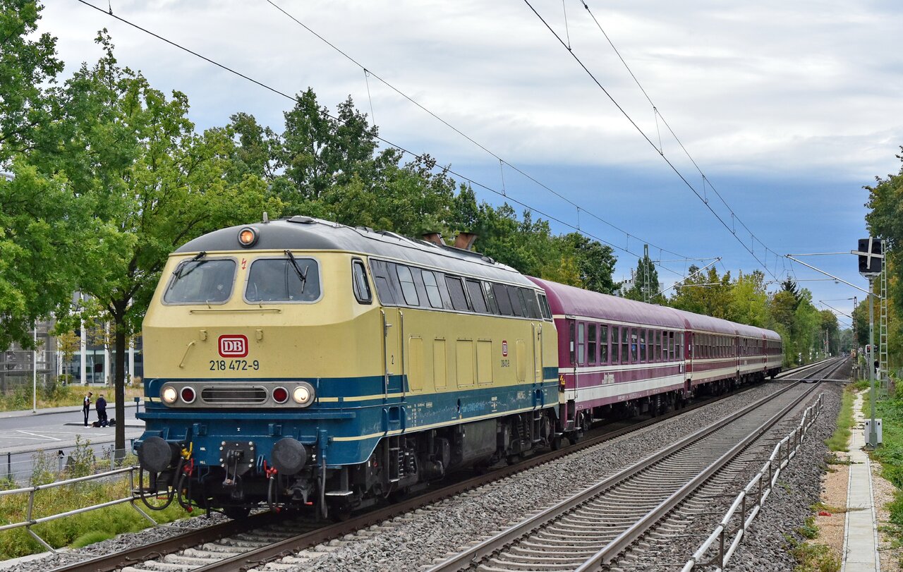 D72_8113a2.JPG