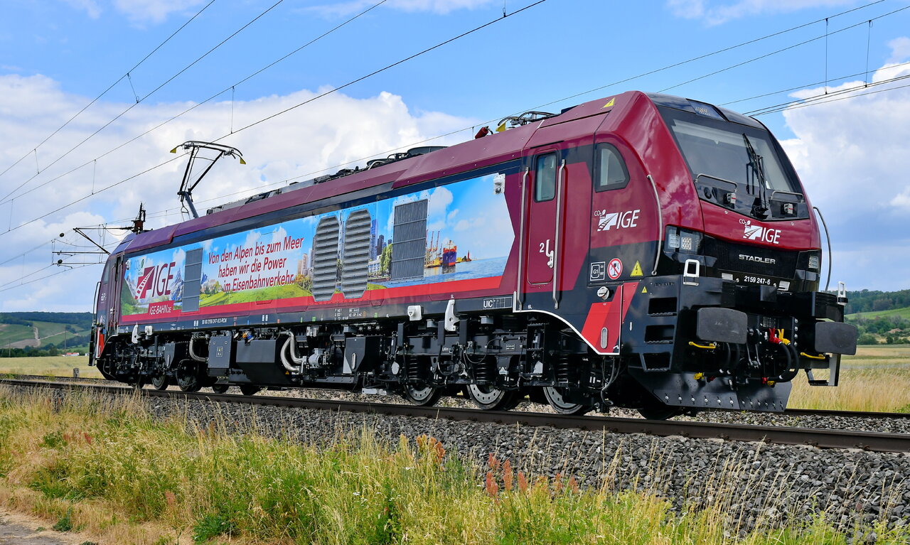 D75_0802a.JPG