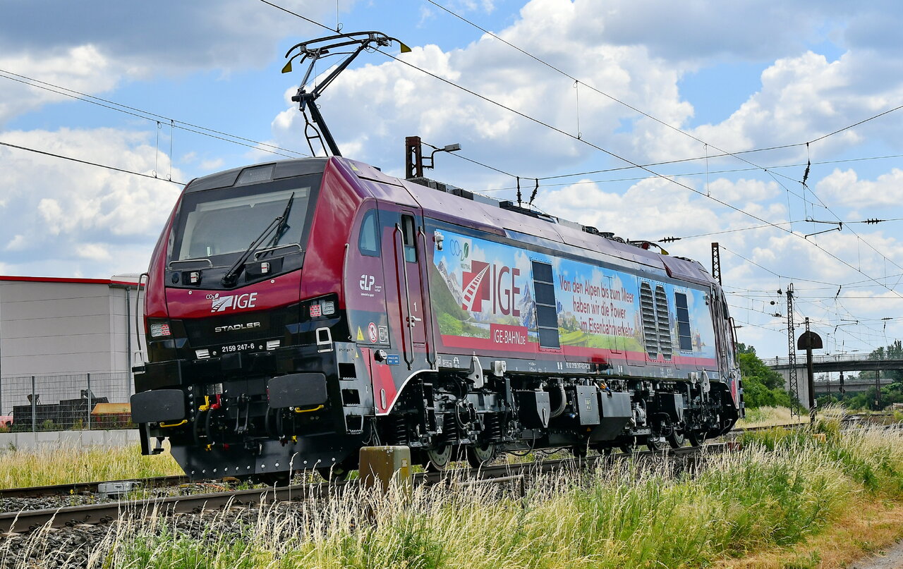 D75_0804a.JPG
