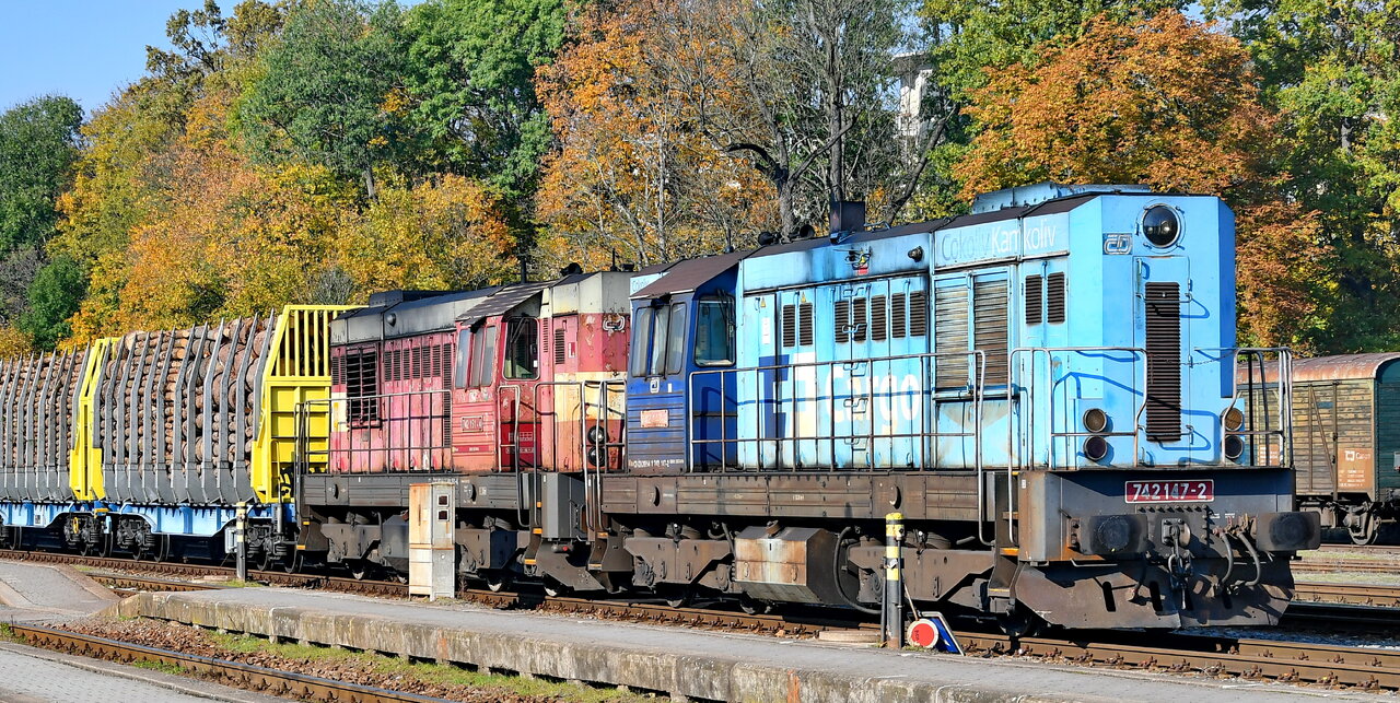 D75_2918a.JPG