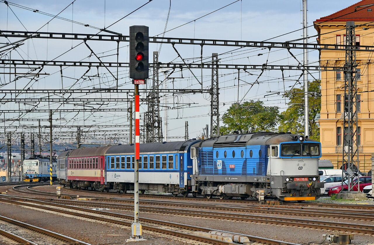 D75_3185a.JPG