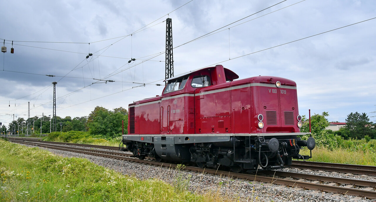 D75_3944a_01.JPG