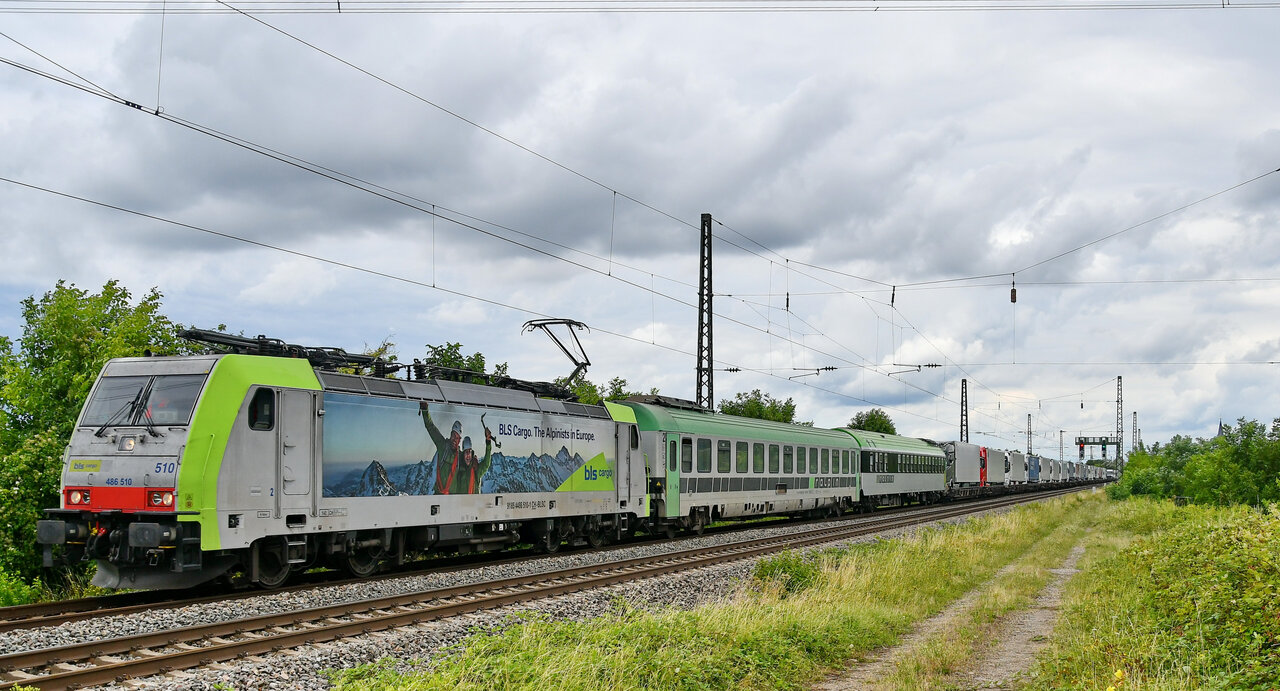 D75_3969a_01.JPG