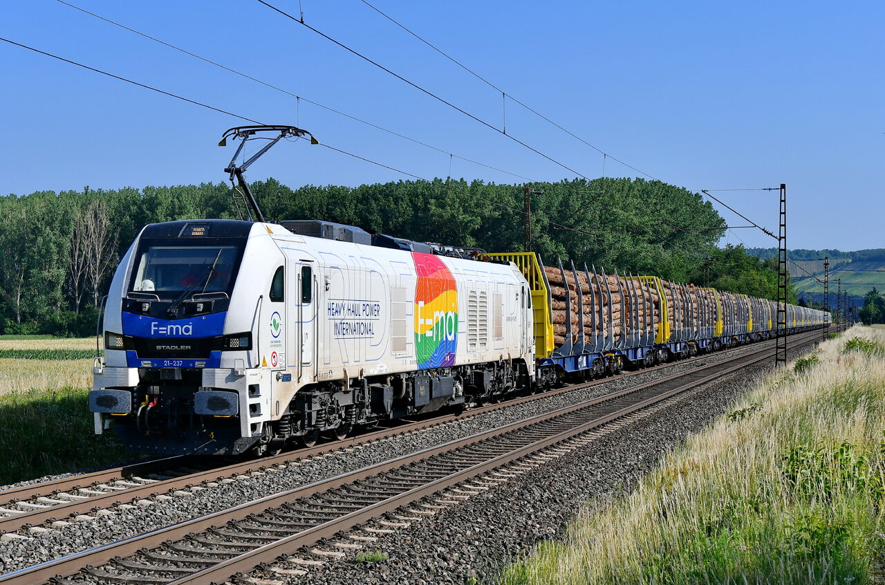 D75_4472a.JPG