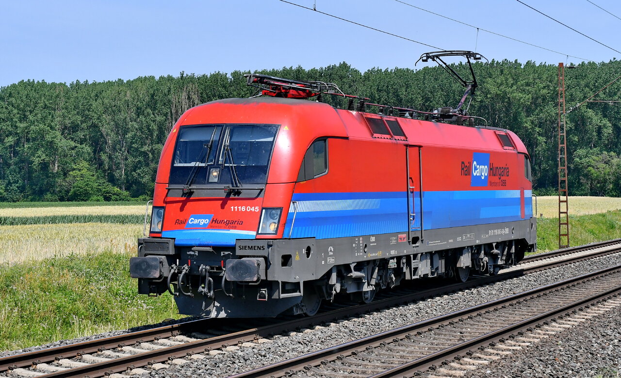 D75_4557a.JPG