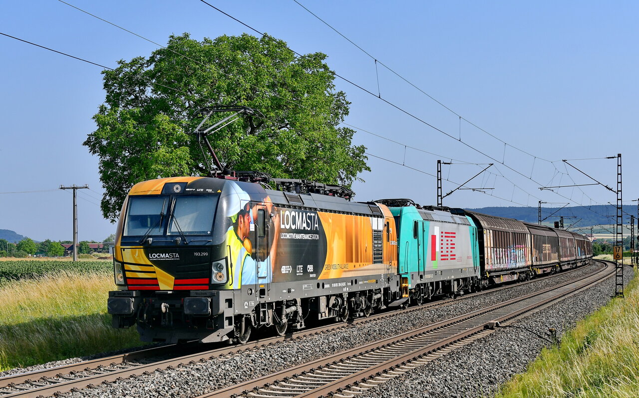 D75_4589a.JPG