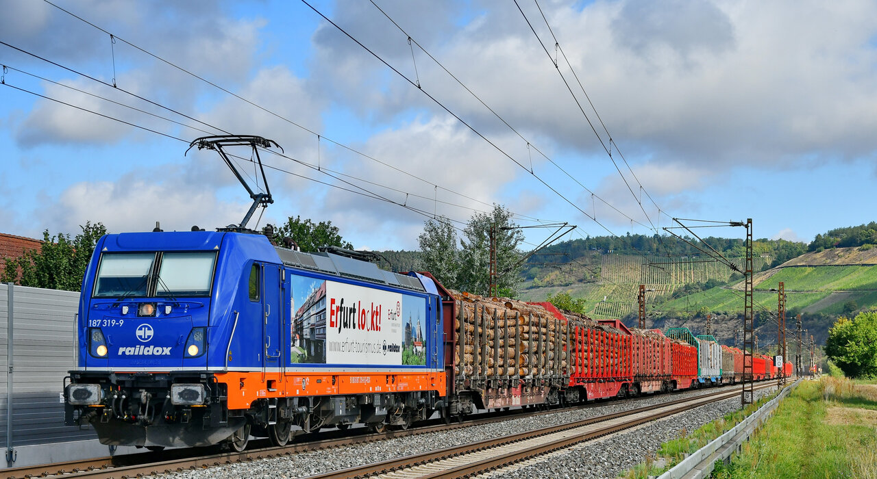 D75_5526a_01.JPG