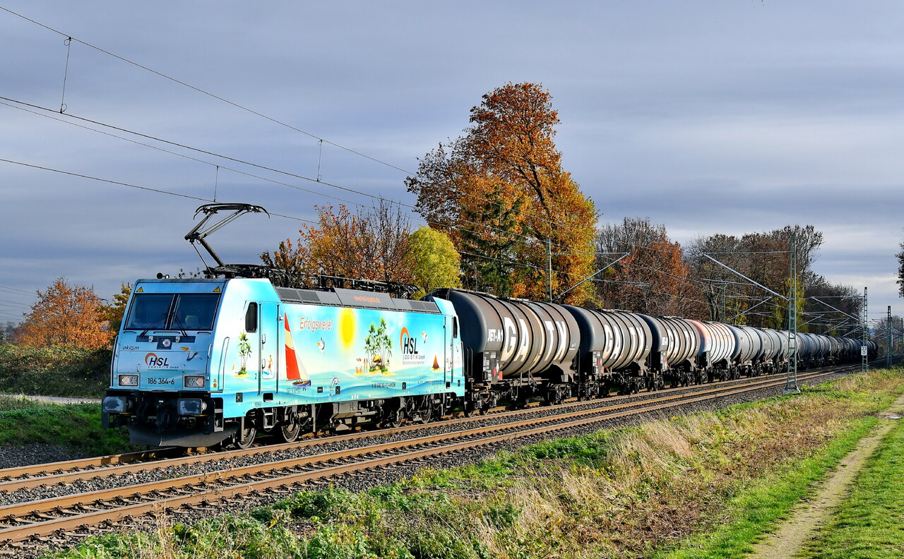 D75_6300a.JPG
