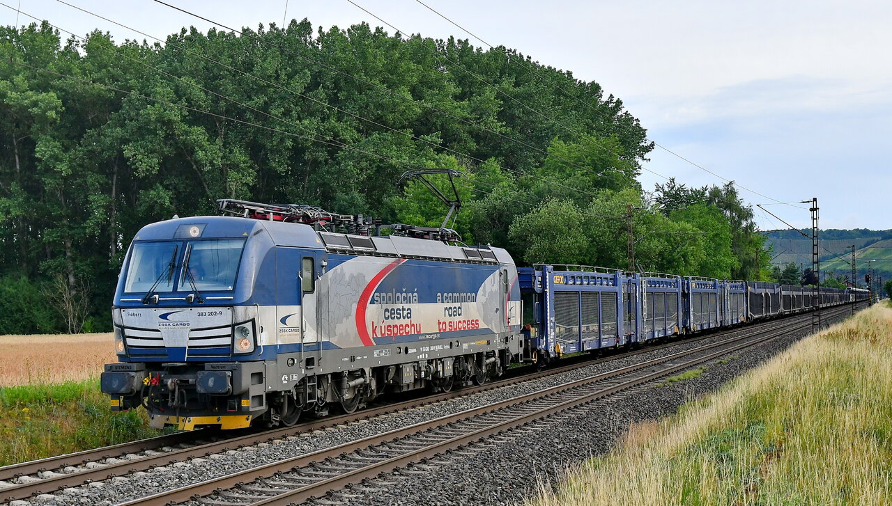 D75_6325a.JPG