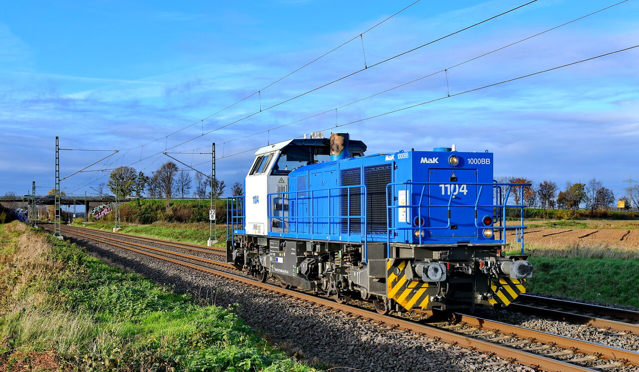 D75_6337a.JPG
