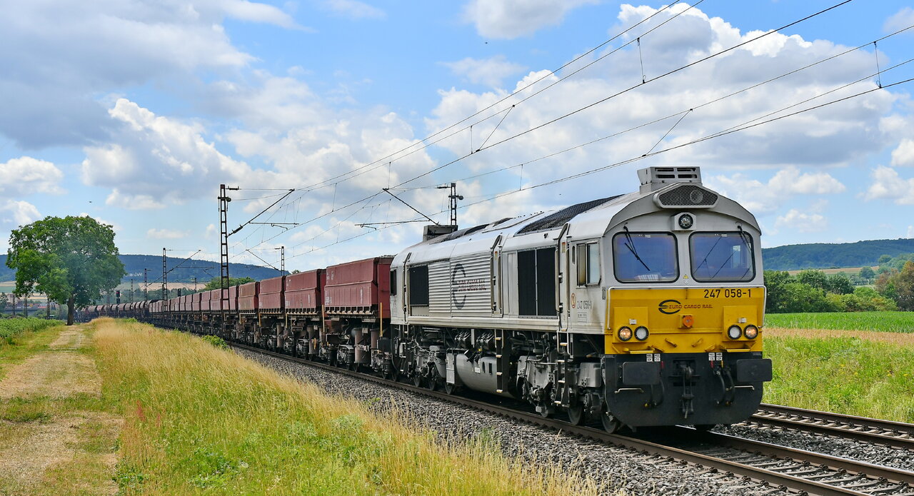 D75_6550a.JPG