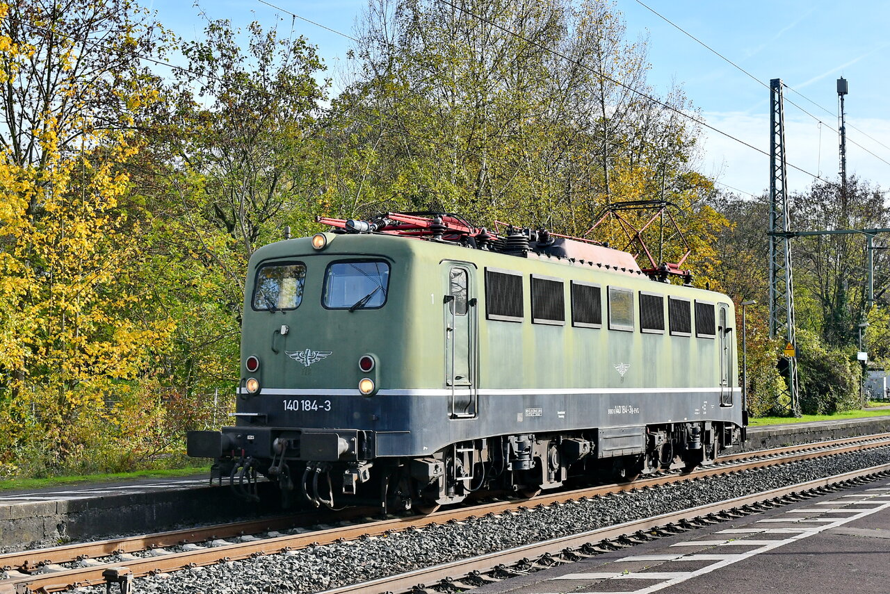 D75_7385a.JPG
