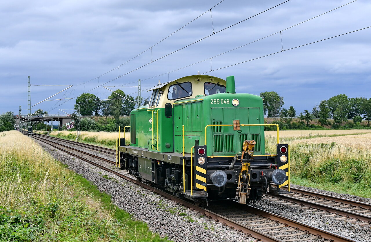 D75_7897a.JPG