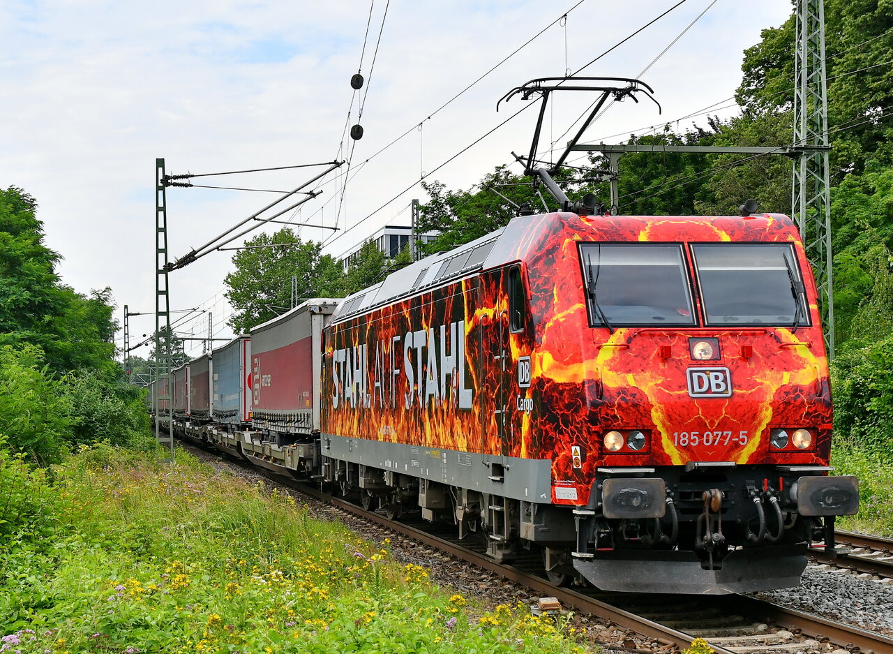 D75_8165a.JPG