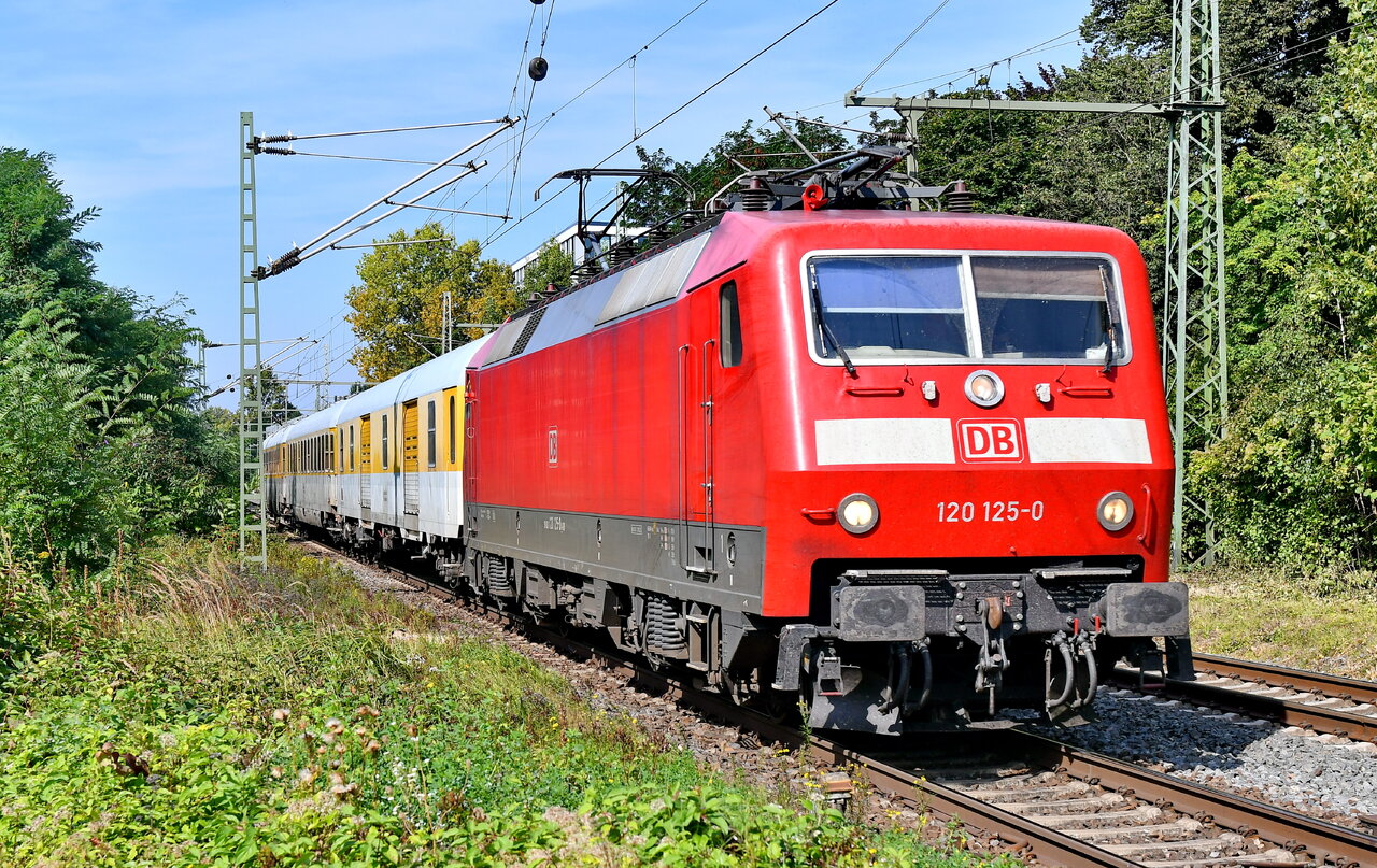 D75_8984a.JPG
