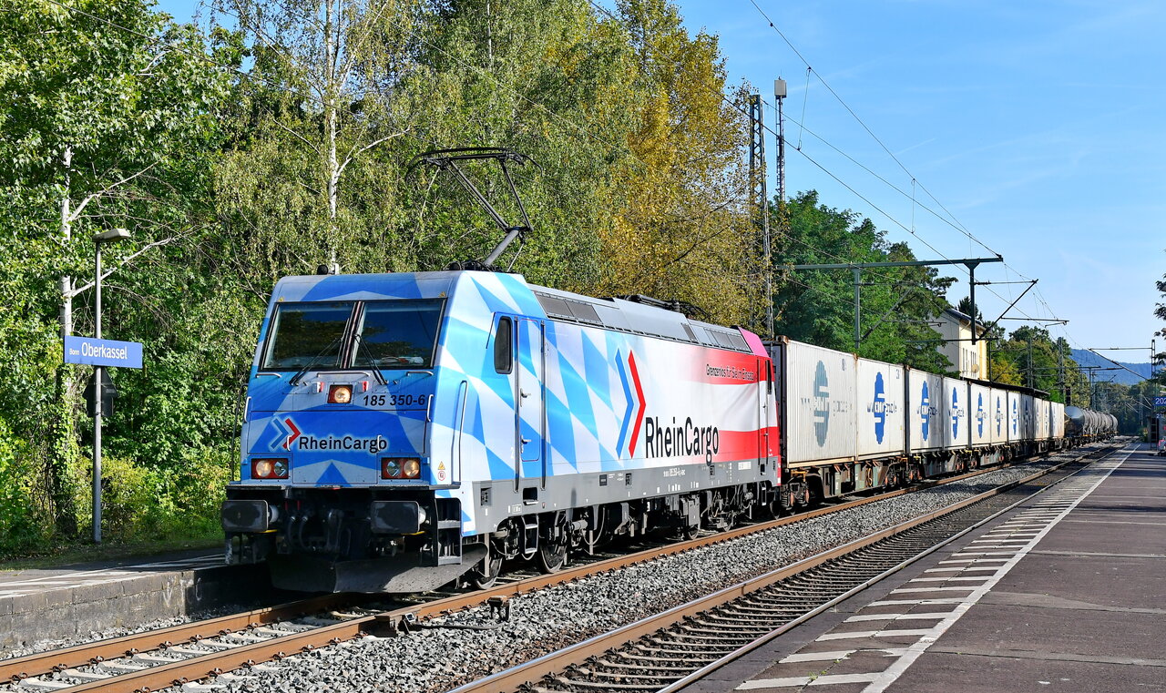 D75_9046a.JPG