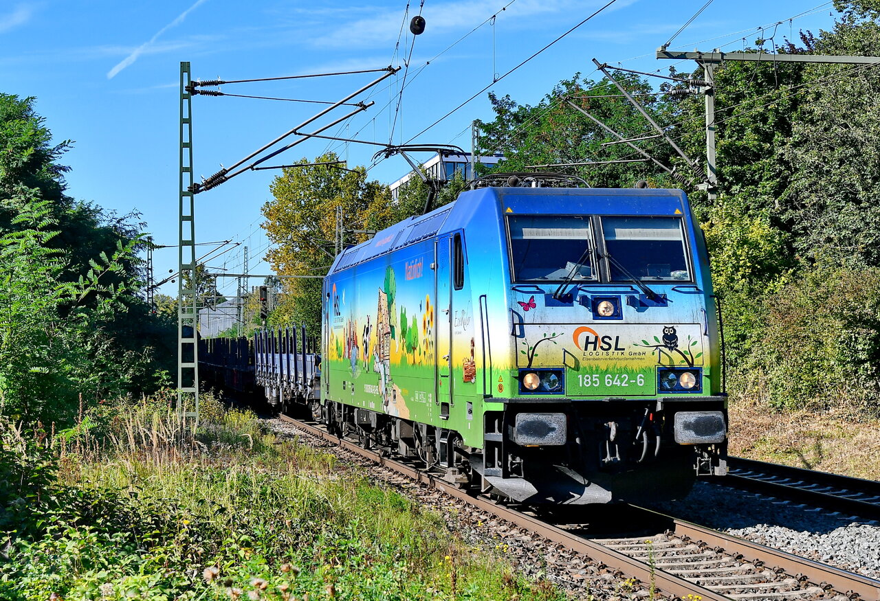 D75_9174a.JPG
