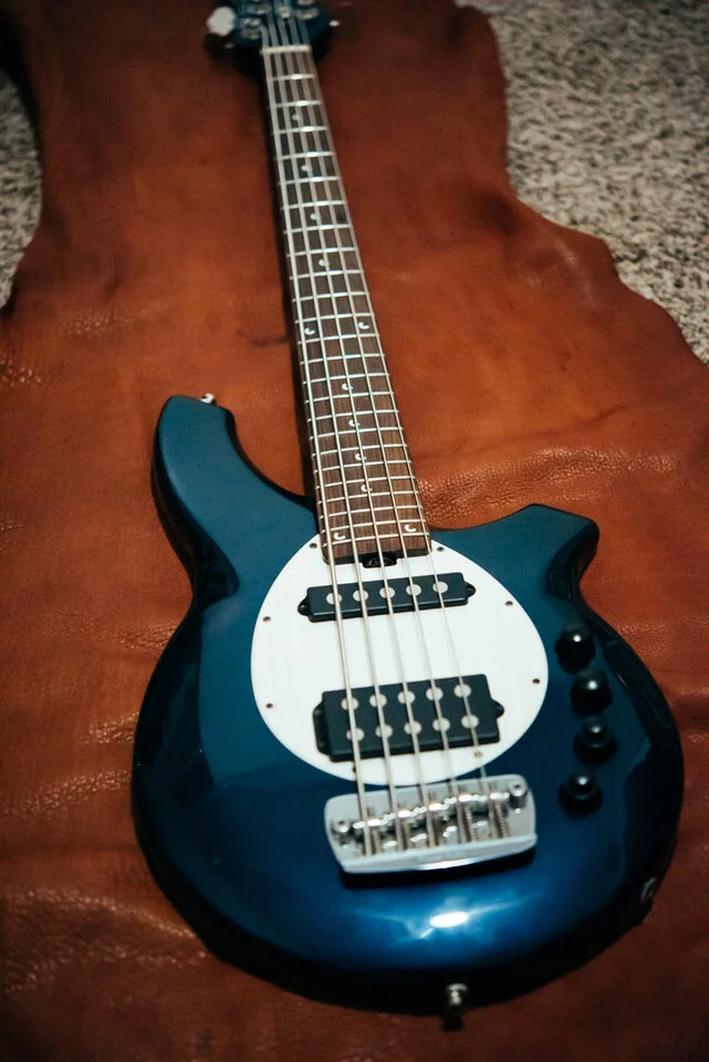 d810 60mm (1 of 3).jpg