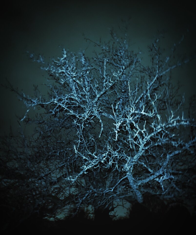 D83BC543-9996-4852-BB20-4B58391B5093.jpeg