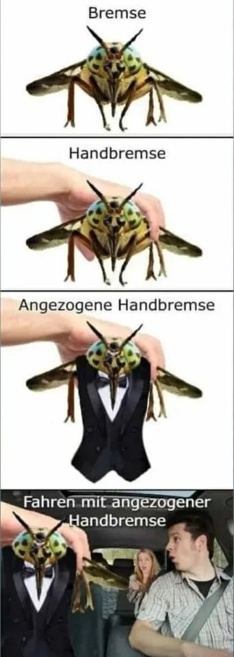 Damit-das-nicht-in-der-Austria-Sektion-verstaubt.jpg