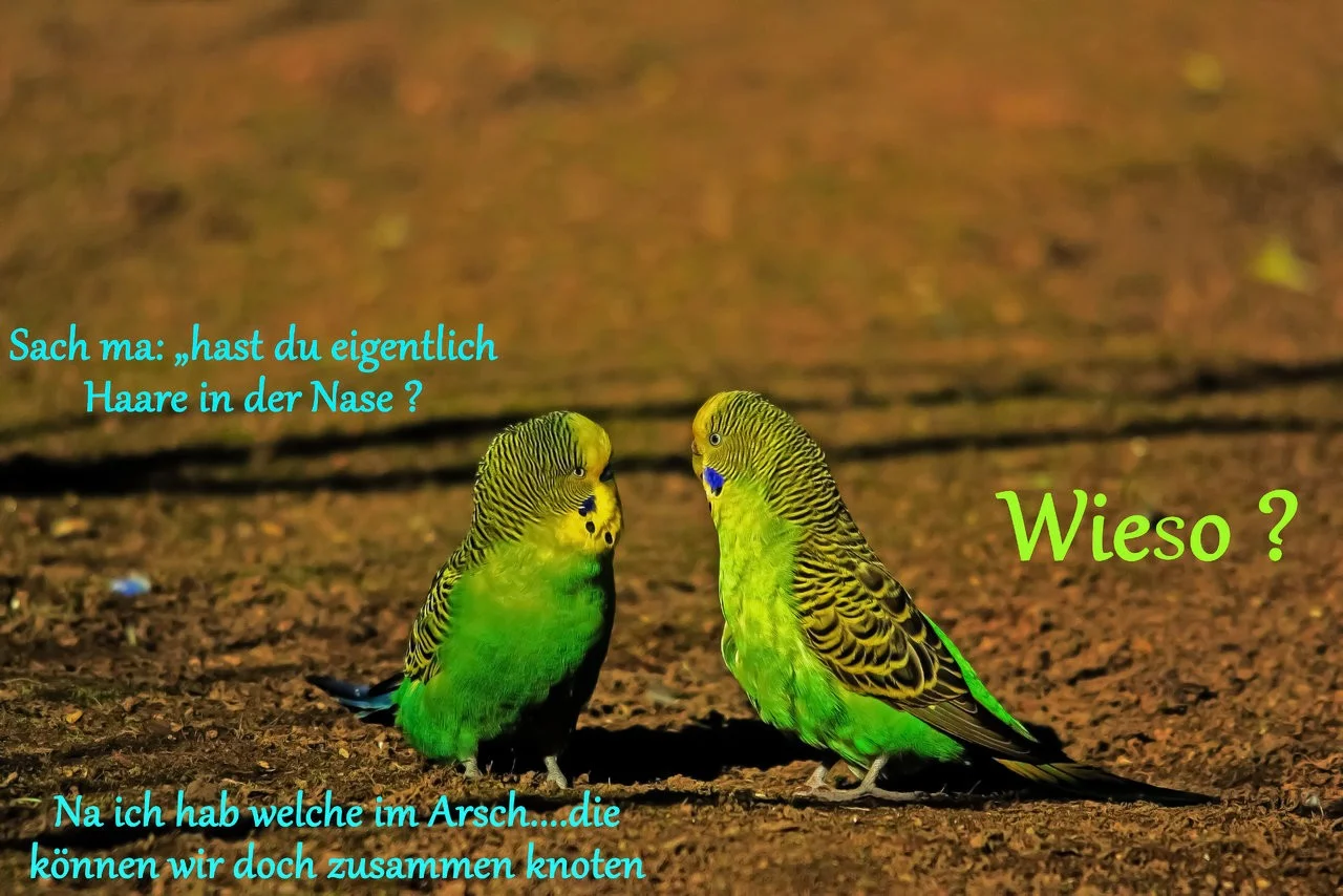 das boot_24022019_Worms 131.webp