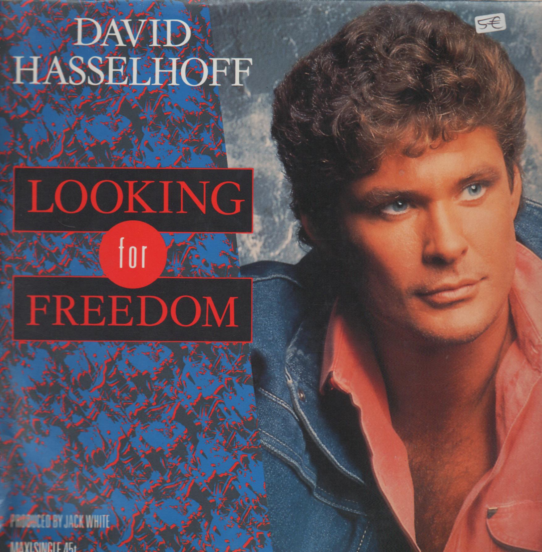 david_hasselhoff-looking_for_freedom(white_records_(3)).jpeg