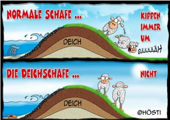 Deichschafe.webp