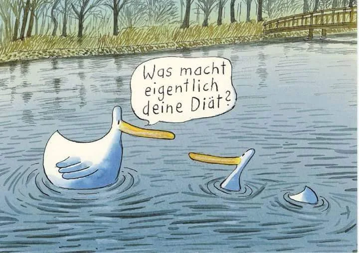 Diät.webp