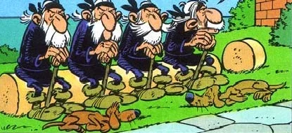 Die Einheimischen.webp