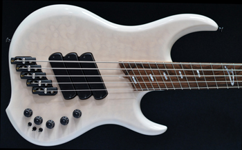 dingwall_z3_5_body_front.jpg