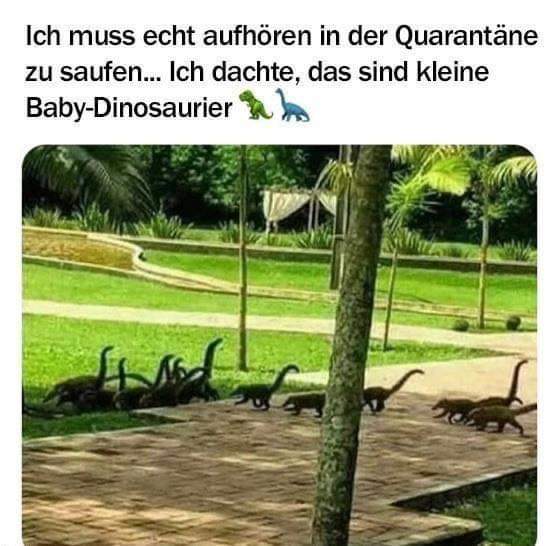 Dinos.jpg