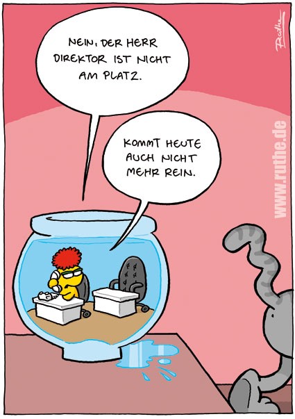 dirtektor.jpg