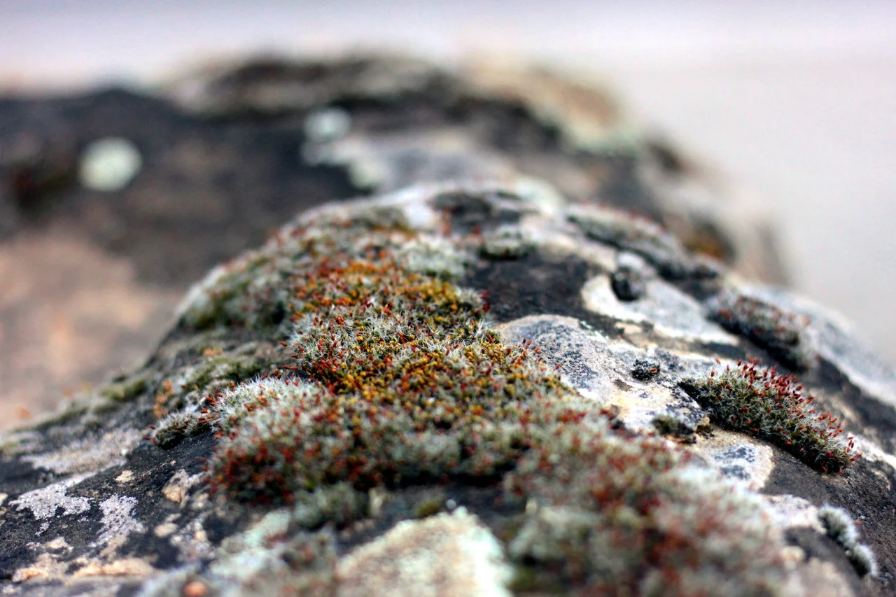 div.26_27042018 070.webp