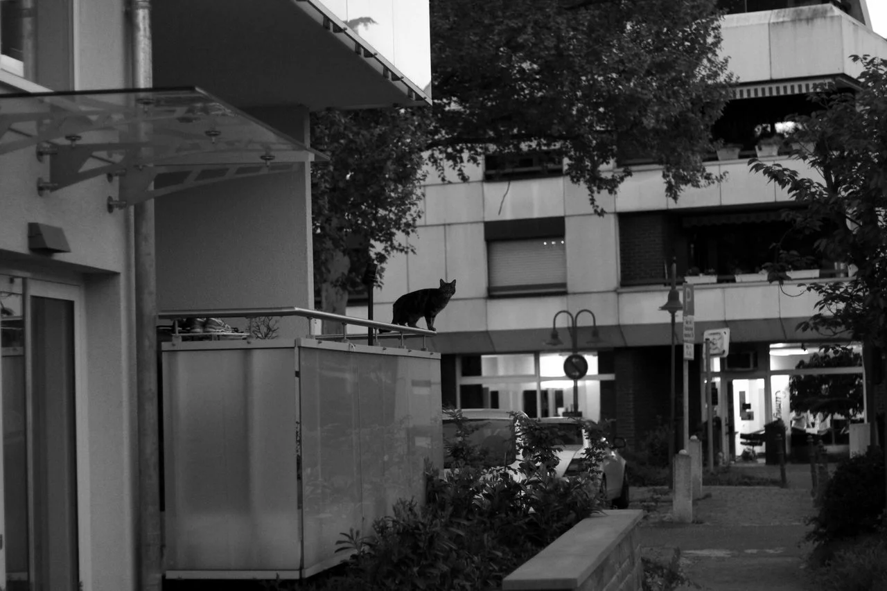 div.26_27042018 145.webp