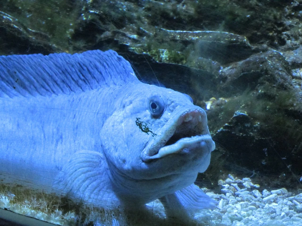 diverse 25.09.2016 003.webp