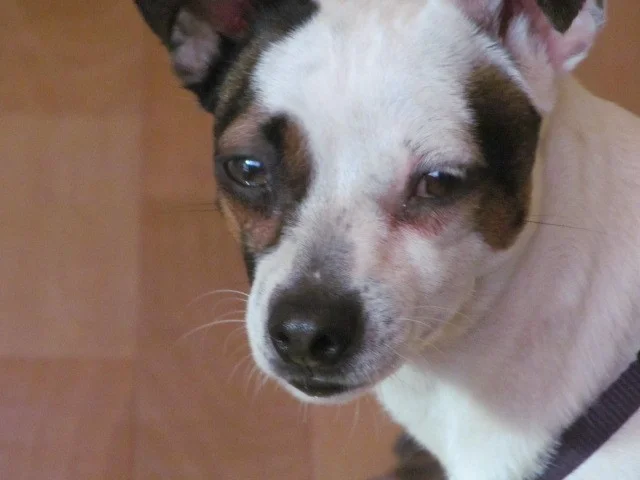 diverse13032017 020.webp