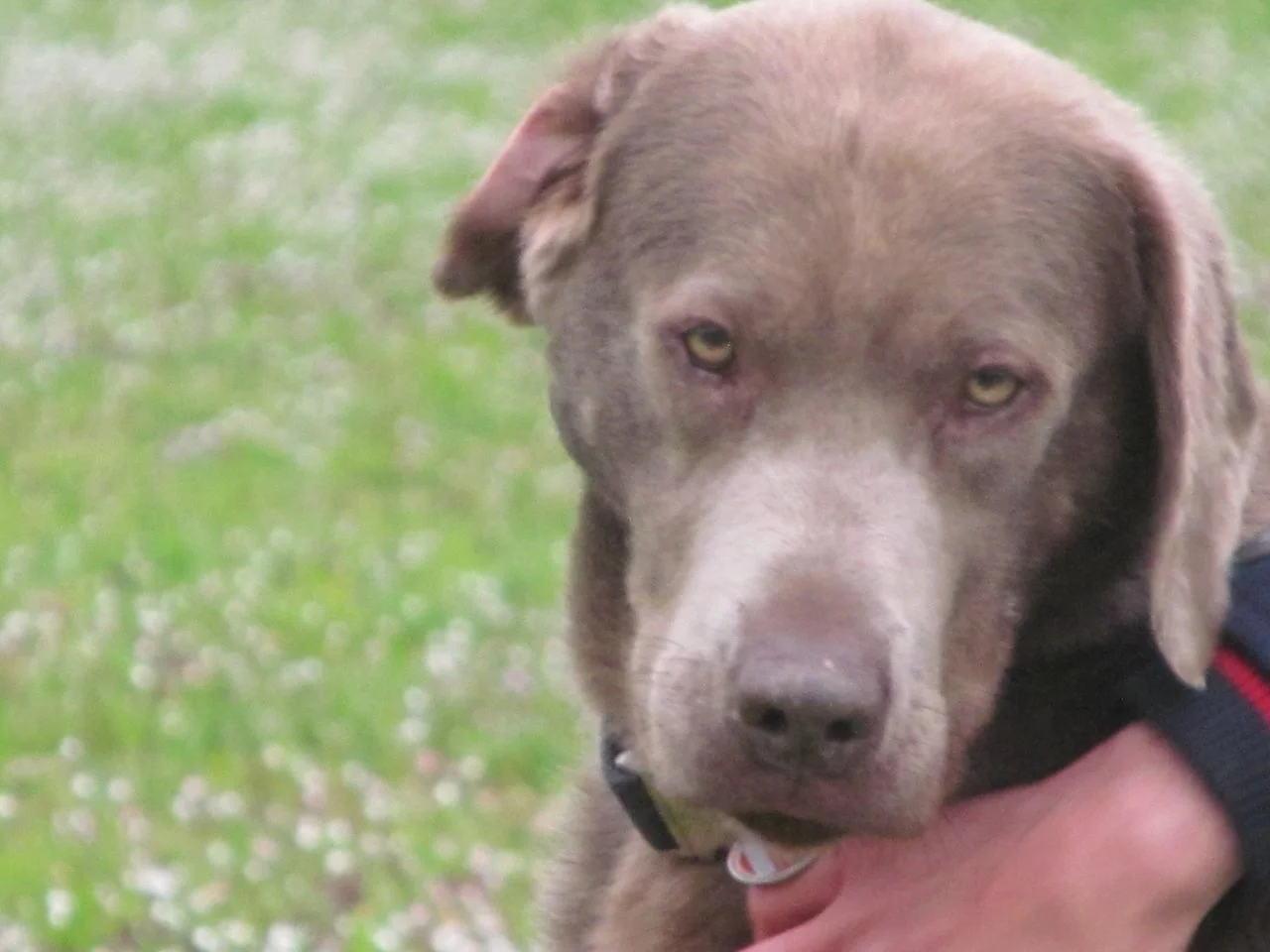 diverse28042017 277.webp