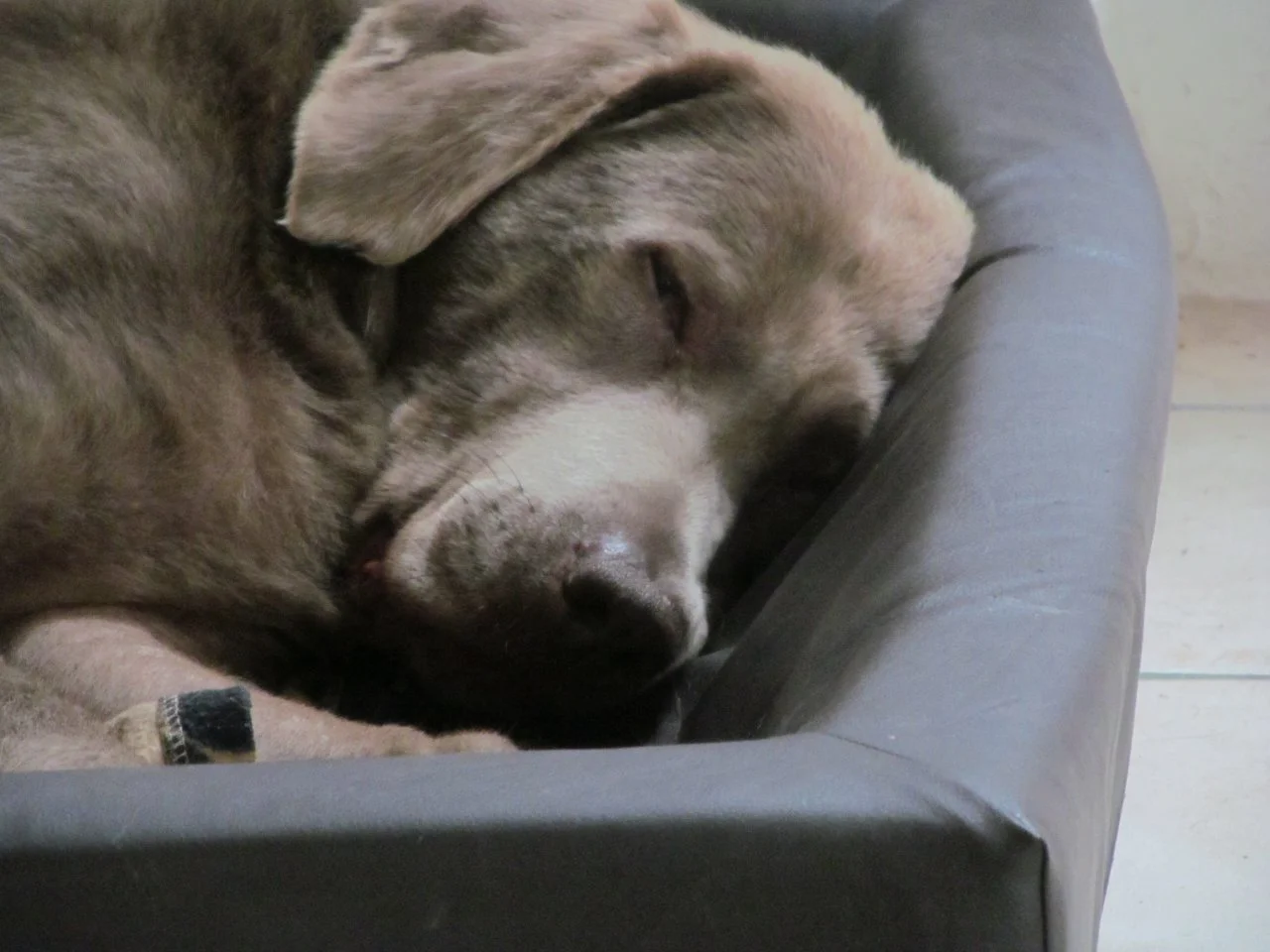 diverse28042017 282.webp