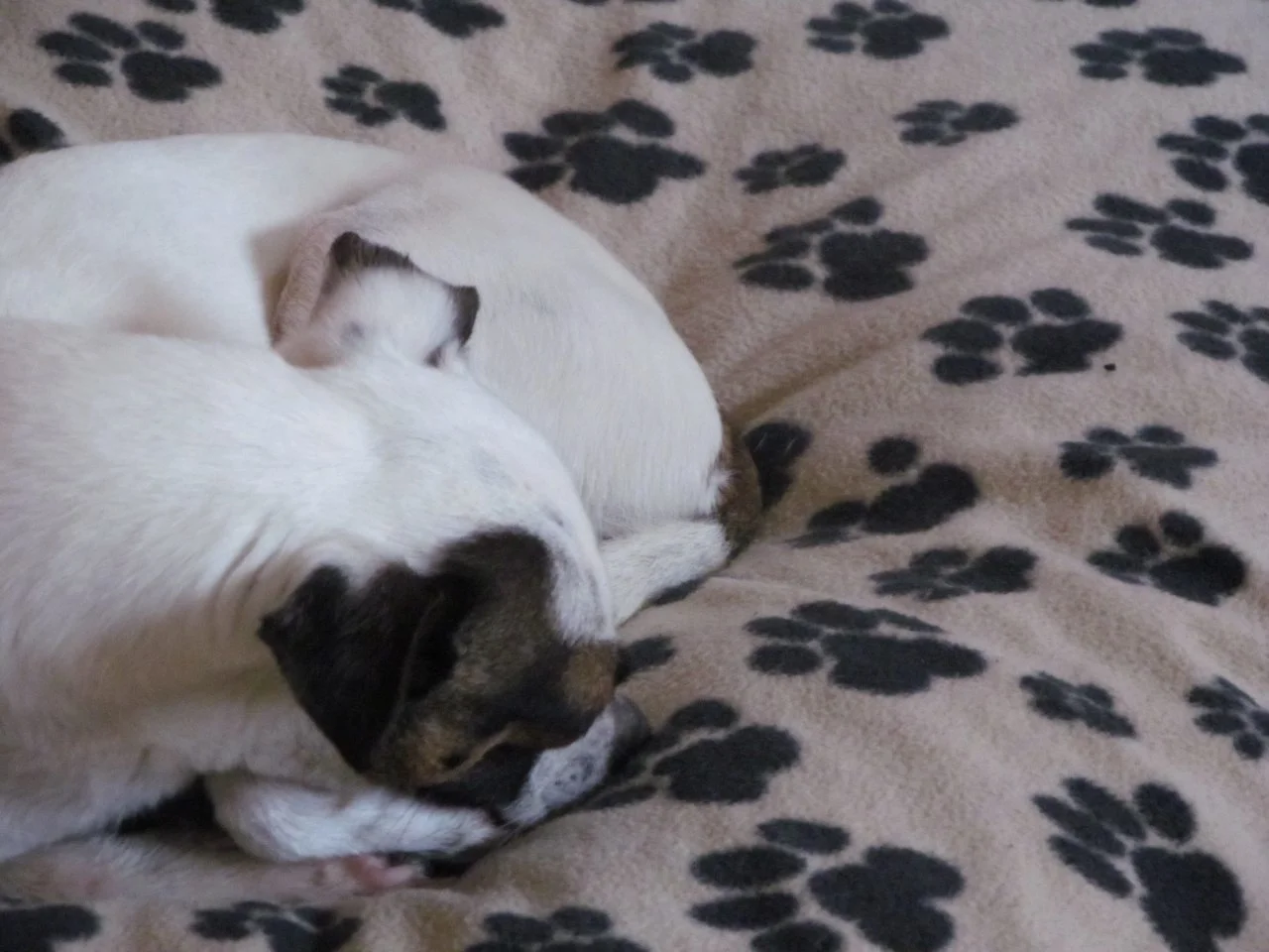 diverse28042017 285.webp