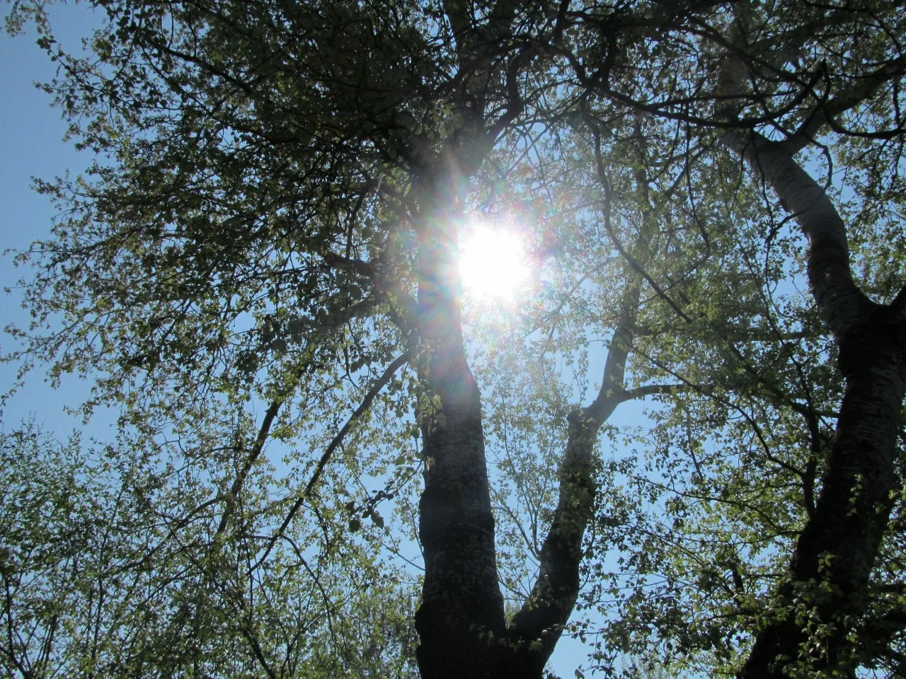 diverse_10042017 171.webp